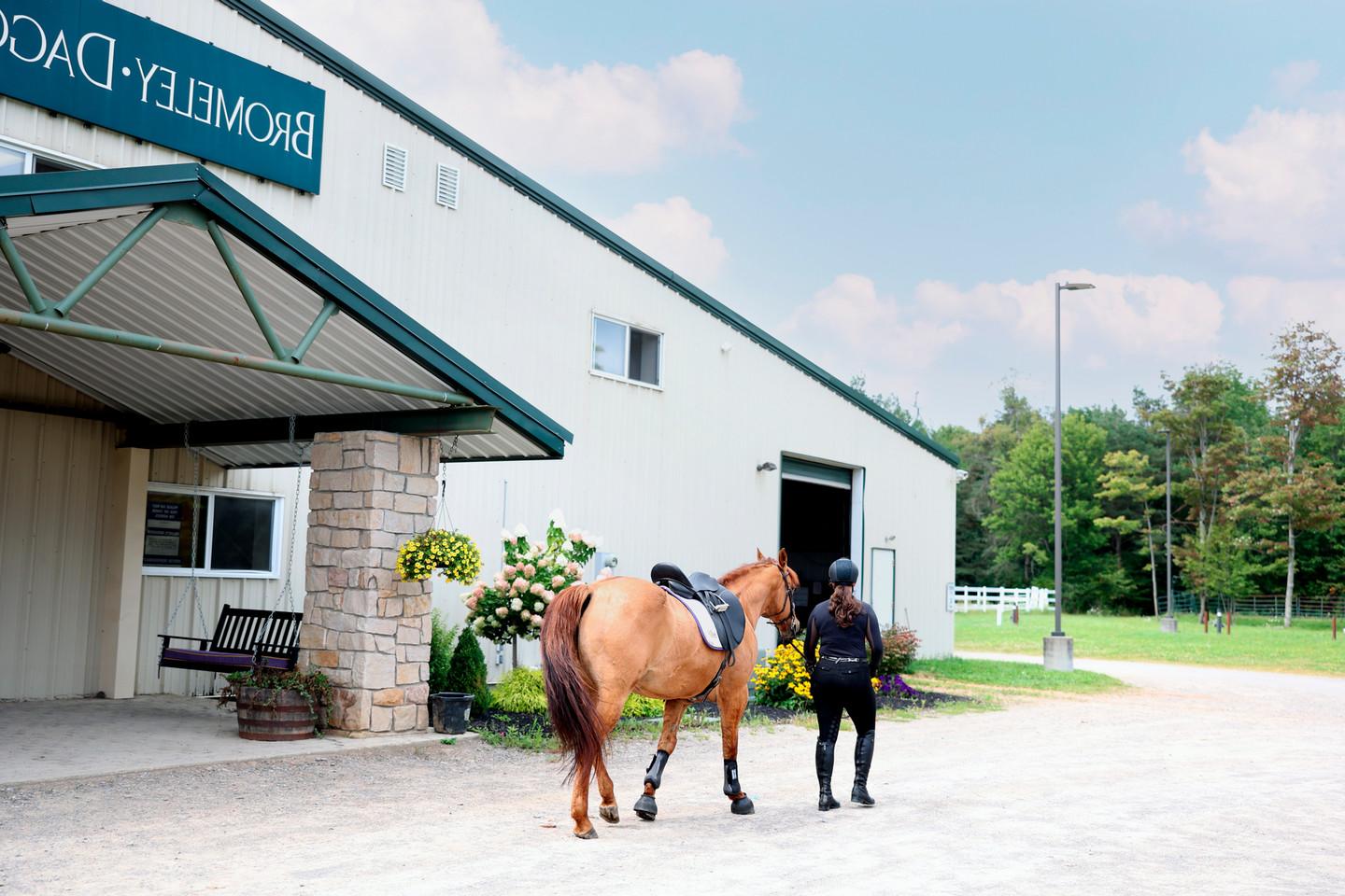 Equestrian Studies Landing